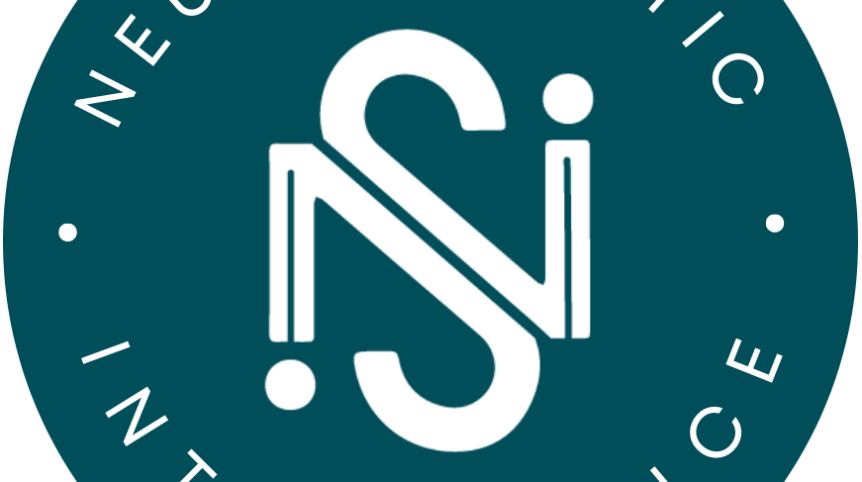 NSI Logo