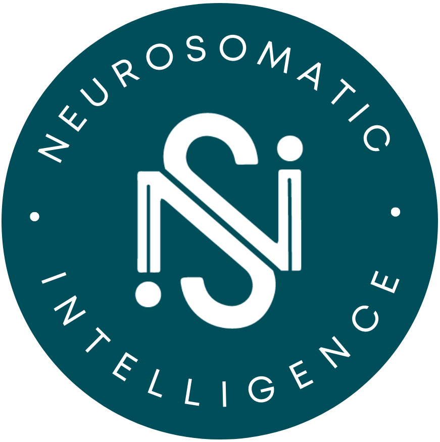 NSI Logo