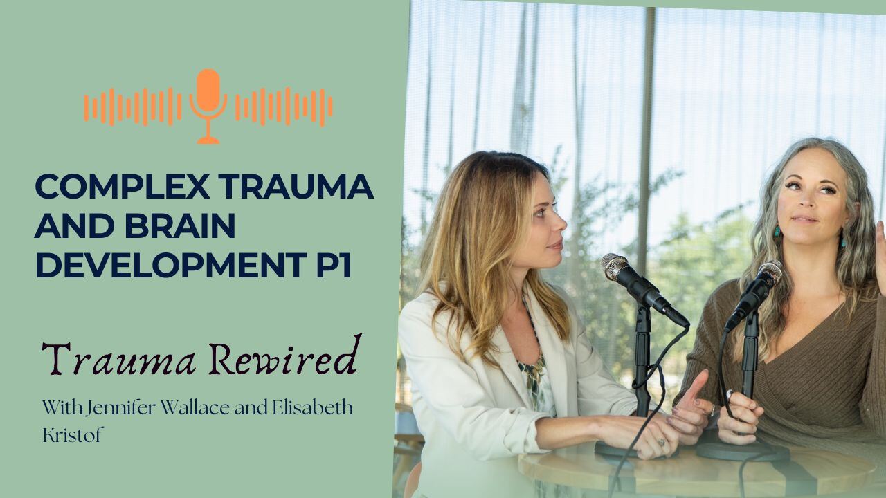 Featured image for “Complex Trauma & the Developmental Brain”